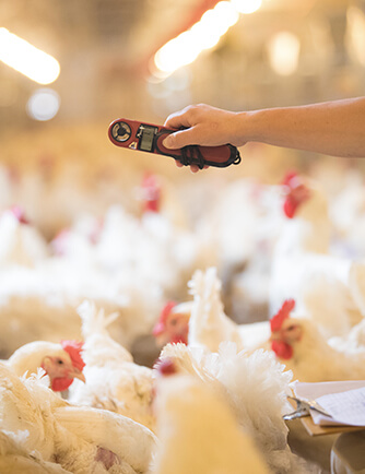 首页| PG电子游戏中国区官方网站