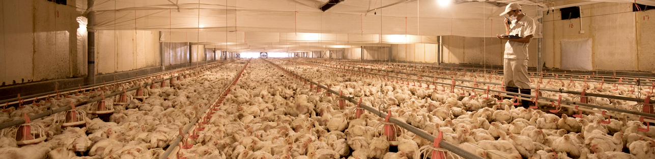 首页| PG电子游戏中国区官方网站