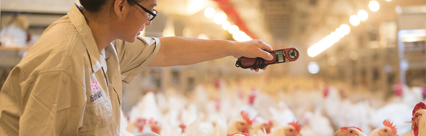 首页| PG电子游戏中国区官方网站