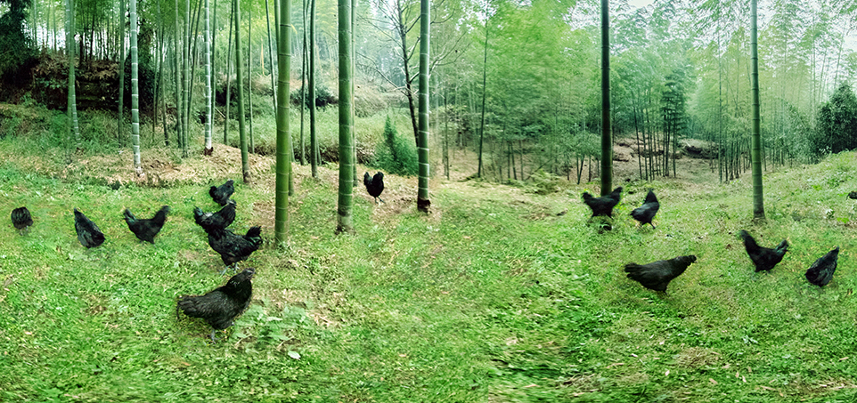 首页| PG电子游戏中国区官方网站