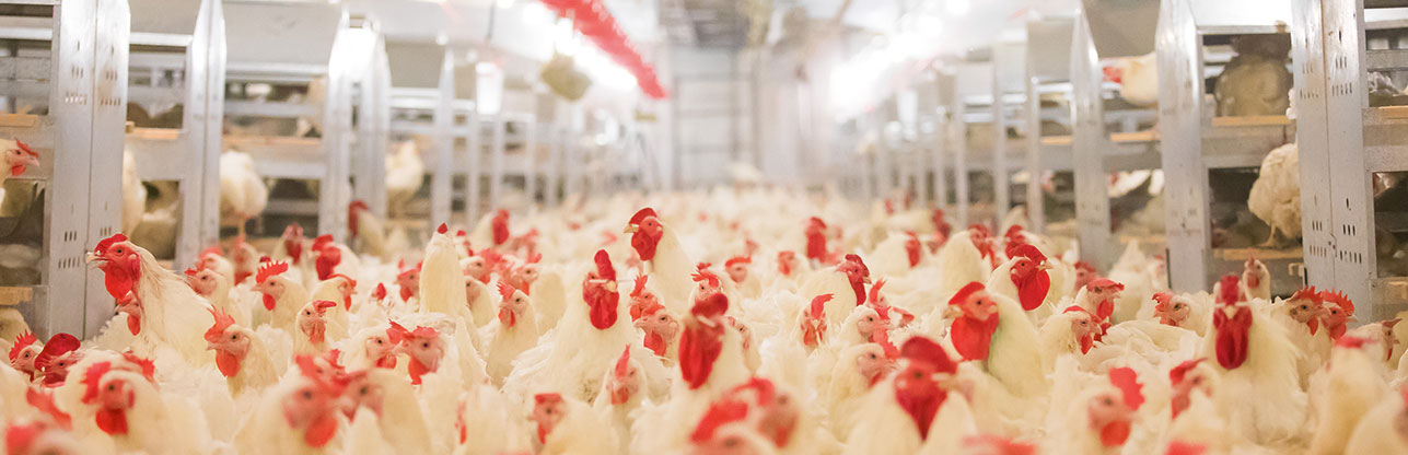 首页| PG电子游戏中国区官方网站