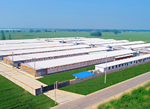 首页| PG电子游戏中国区官方网站