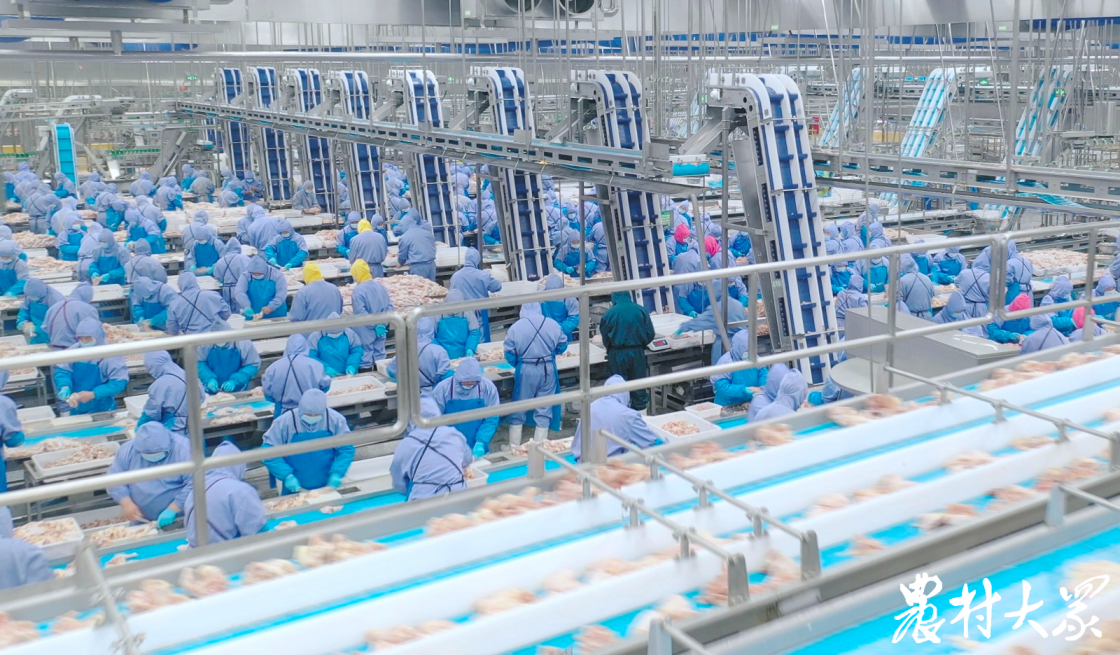 首页| PG电子游戏中国区官方网站