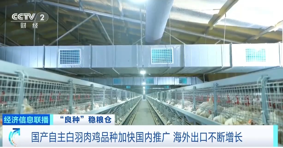 首页| PG电子游戏中国区官方网站