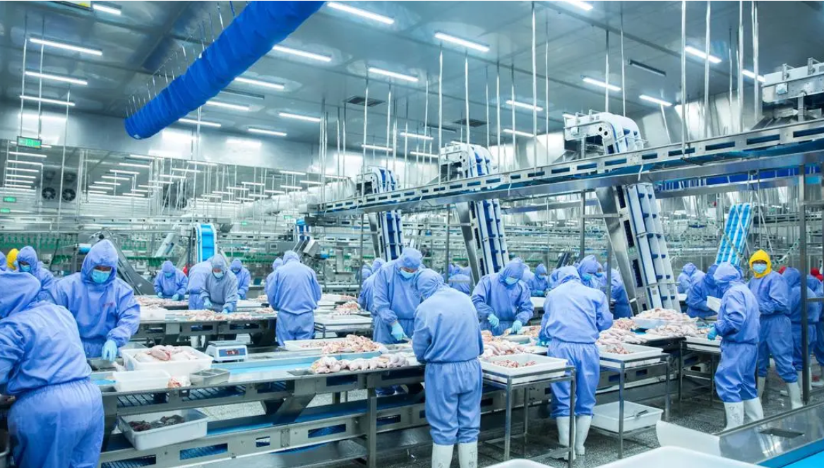 首页| PG电子游戏中国区官方网站