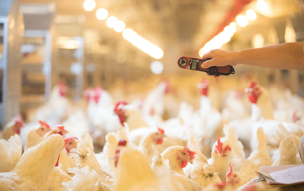 首页| PG电子游戏中国区官方网站