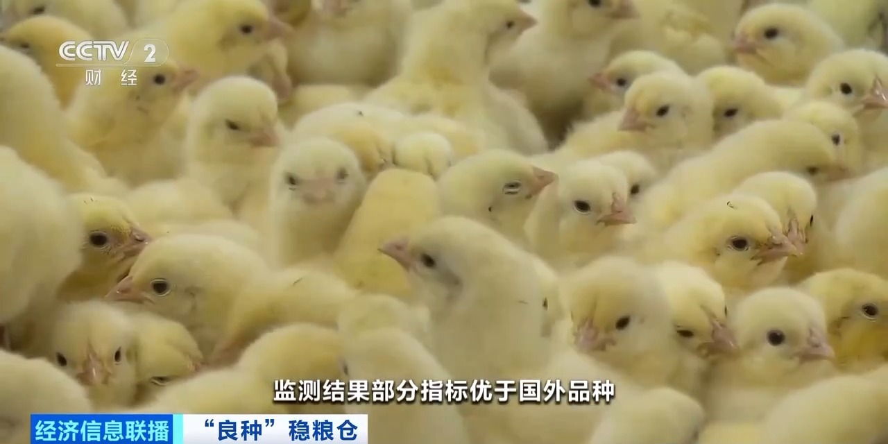 20260408094152_46030 首页| PG电子游戏中国区官方网站