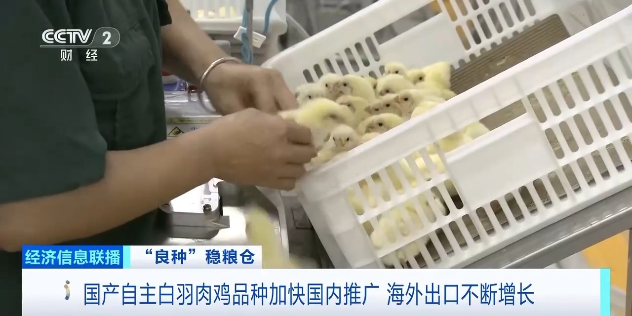 20260408094220_95222 首页| PG电子游戏中国区官方网站
