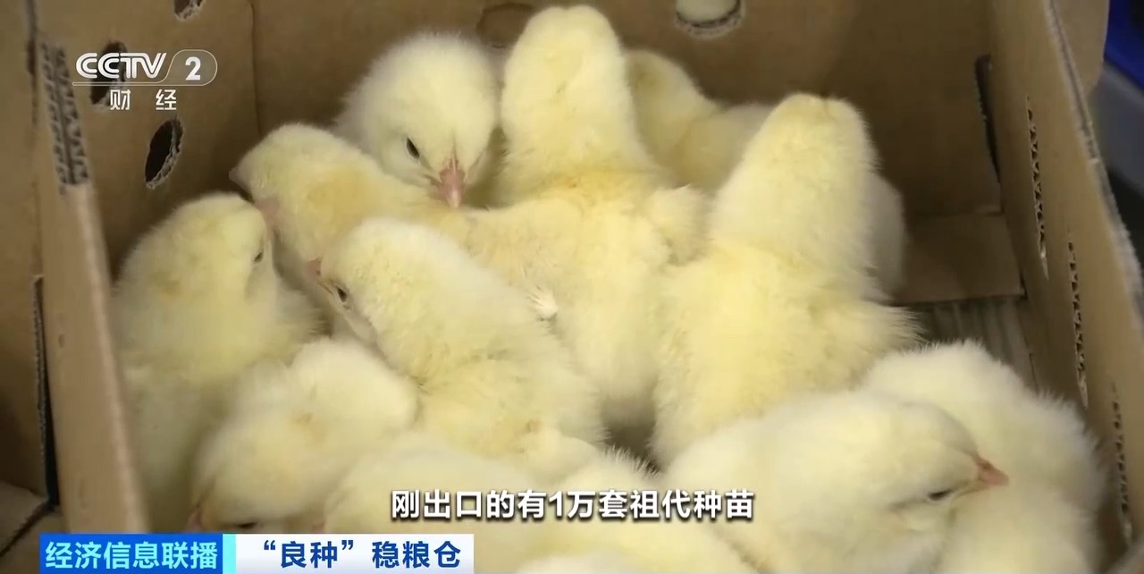 20260408094234_86644 首页| PG电子游戏中国区官方网站